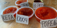 Цены на красную икру нового улова рекордно выросли - Югополис