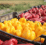 Экспорт астраханских продуктов в Казахстан вырос в полтора раза - Punkt-a.info