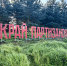 Погружение в историческое наследие - МЧС Псковской области