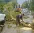 Четыре дерева упали после смерча в Нижнем Новгороде - ИА Нижний сейчас