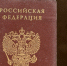 Еще четыре страны Европы не хотят принимать пятилетние загранпаспорта россиян - 47 новостей