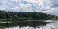 Под водой в Онежском озере нашли петроглифы возрастом 7000 лет - MosRegToday.Ru