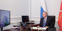 В Петербурге утвердили план по сохранению и развитию городских лесов - Петербургский дневник