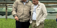 Лесная отрасль: как развивать бизнес и не навредить экологии - ЛДПР