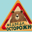 На Камчатке вышел второй мультфильм проекта «Земля медведя: правила добрососедства» - Правительство Камчатского края