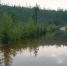 Вода затопила дорогу на подъезде к селу Ларба в Приамурье - ИА Порт Амур