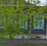 Bez-nazvaniya.png - 1000inf.ru