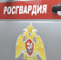 Находившегося в розыске биробиджанца задержали росгвардейцы ЕАО - РИА Биробиджан