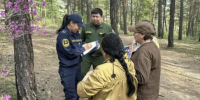 За нарушение пожарной безопасности в лесах Якутии грозят штрафы до 400 тысяч рублей - Yakutia-Daily.Ru