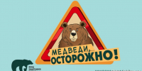 На Камчатке вышел второй мультфильм о безопасной встрече с медведем - ИА Кам 24