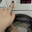 Зачем умные хозяйки кладут в барабан стиралки лавровый лист - ахнула, когда узнала. Теперь тоже так делаю - Город Киров