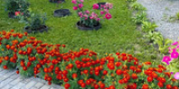 6-Ujcndt-QQg-ZXW7-Te-XUv-TBux5-Ikb5-U8j-S0-Kpe-Sxx-Ox0-NNZj-TO5-Ed-Px-Bd6e-Jk-D1lr-OKs-Ug-Ud-Bh-XGATa-X2w-J - Храм Николая Чудотворца