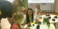 Музей шишек открылся в детском саду в Нижнем Тагиле - Министерство природных ресурсов