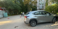 background - Вологда-поиск