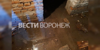 Зловонные стоки затопили подвал жилого дома в центре Воронежа - ГТРК Воронеж