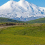Фото: shushonok/Shutterstock/Fotodom - Ямал-Медиа