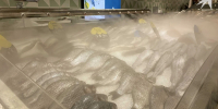 Мурманскстат рассказал, как менялись цены на продукты в июле - КП Мурманск