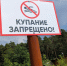 Жителям Челябинской области рассказали, как распознать опасный для купания водоём - Pchela.News