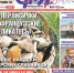 В Курске вышел свежий номер газеты «Друг для друга» - Друг для Друга