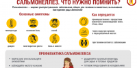 Профилактика сальмонеллеза. - Колпашевский район