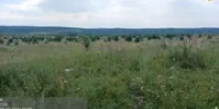 В Салаватском районе Башкирии обнаружили 150 га заброшенных сельхозугодий - Башинформ