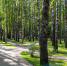 430030_original_mediastockrf - ТРК Щелково