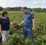 IMG_20260818_083740.png - УФСИН по Чувашской Республике
