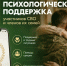 Единый чат поддержки комитета семей воинов Отечества начал работу в соцсети «ВКонтакте» - Арктик-ТВ