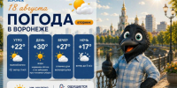 Жаркие дни и холодные ночи: прогноз погоды в Воронеже - Bloknot-Voronezh.Ru