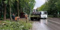 Уборка города, ремонт светофора, покос травы – 18 августа - Город Ковров