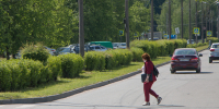 За сутки в Новгородской области автомобилисты дважды не поделили дорогу с пешеходами - Газета Новгород