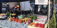 На краевой ярмарке в Хабаровске продано 75 тонн продукции - Gubernia.Com