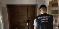 В Палласовке семейный конфликт из-за имущества закончился убийством и стрельбой - Volzsky.Ru
