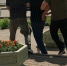 Петербуржец ответит в суде за ложное сообщение об акте терроризма в Великом Новгороде - УМВД Новгородской области