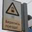 Лось погиб на железнодорожных путях в Тверской области - Афанасий-биржа