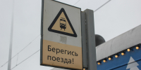 Лось погиб на железнодорожных путях в Тверской области - Афанасий-биржа