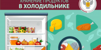 Правила хранения продуктов в холодильнике - Газета Железногорские новости
