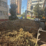 В Калуге ликвидировали 115 стихийных свалок - Телерадиокомпания Ника