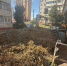 За неделю в Калуге ликвидировано 115 свалок - Калужская неделя
