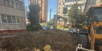 За неделю в Калуге ликвидировано 115 свалок - Калужская неделя
