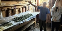 Алтайский сельчанин создал цех для сушки дурман-травы / Фото: МВД - ИА Амител