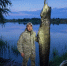 - - V-Kurse.Ru