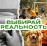 Выбирай реальность! - Межпоселенческая библиотека