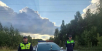 В Югре автоинспекторы помогли доставить в больницу женщину, пострадавшую от укуса змеи - УМВД по Ханты-Мансийскому АО - Югре