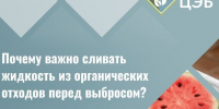 Сочная проблема: почему важно сливать жидкость из органических отходов перед выбросом. - Валуйский городской округ