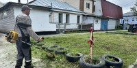 В Центральном районе продолжаются работы по покосу травы - Администрация г. Барнаул