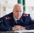 Бастрыкин затребовал доклад о нападении собаки на девочку у саратовского горпарка - Провинциальный телеграфъ