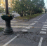 «Какое варварство»: в центре Мурманска неизвестные разгромили вазоны - ИА Nord-News.Ru