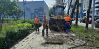 В Самаре ликвидировали последствия залпового ливня и штормового ветра - НИА Самара