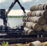 Аграрии Томской области выполнили план по заготовке сенажа на 99,8% - NIATomsk.Ru